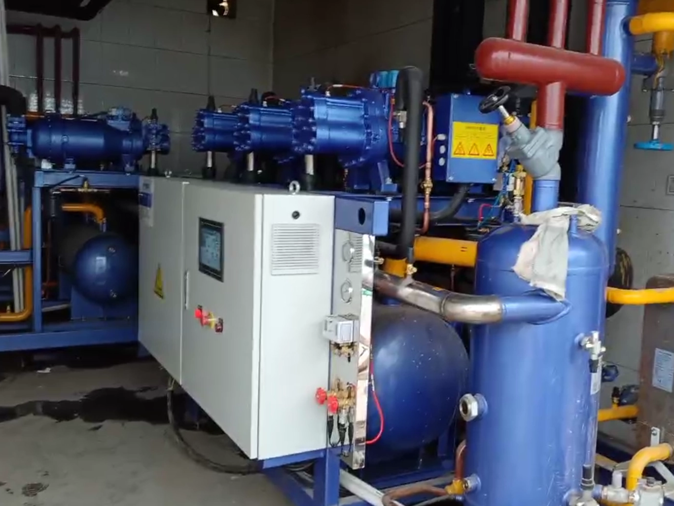 2023 Экспериментальная база кукурузы Хэбэйского сельскохозяйственного университета 